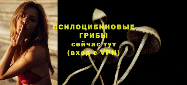 ECSTASY Володарск