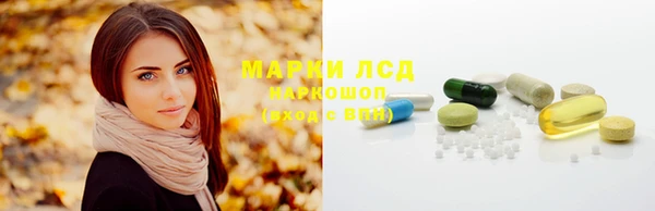 сатива Волоколамск