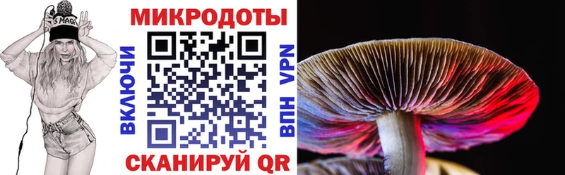 Псилоцибиновые грибы Psilocybe  MEGA сайт  Серпухов 